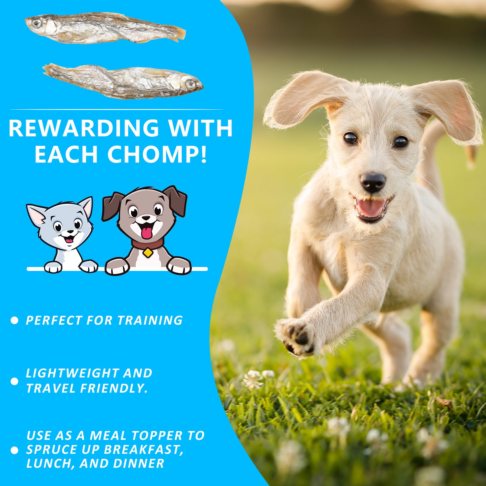 JADINGSFARM Minnows, morceaux séchés pour chien, snack riche en protéines.