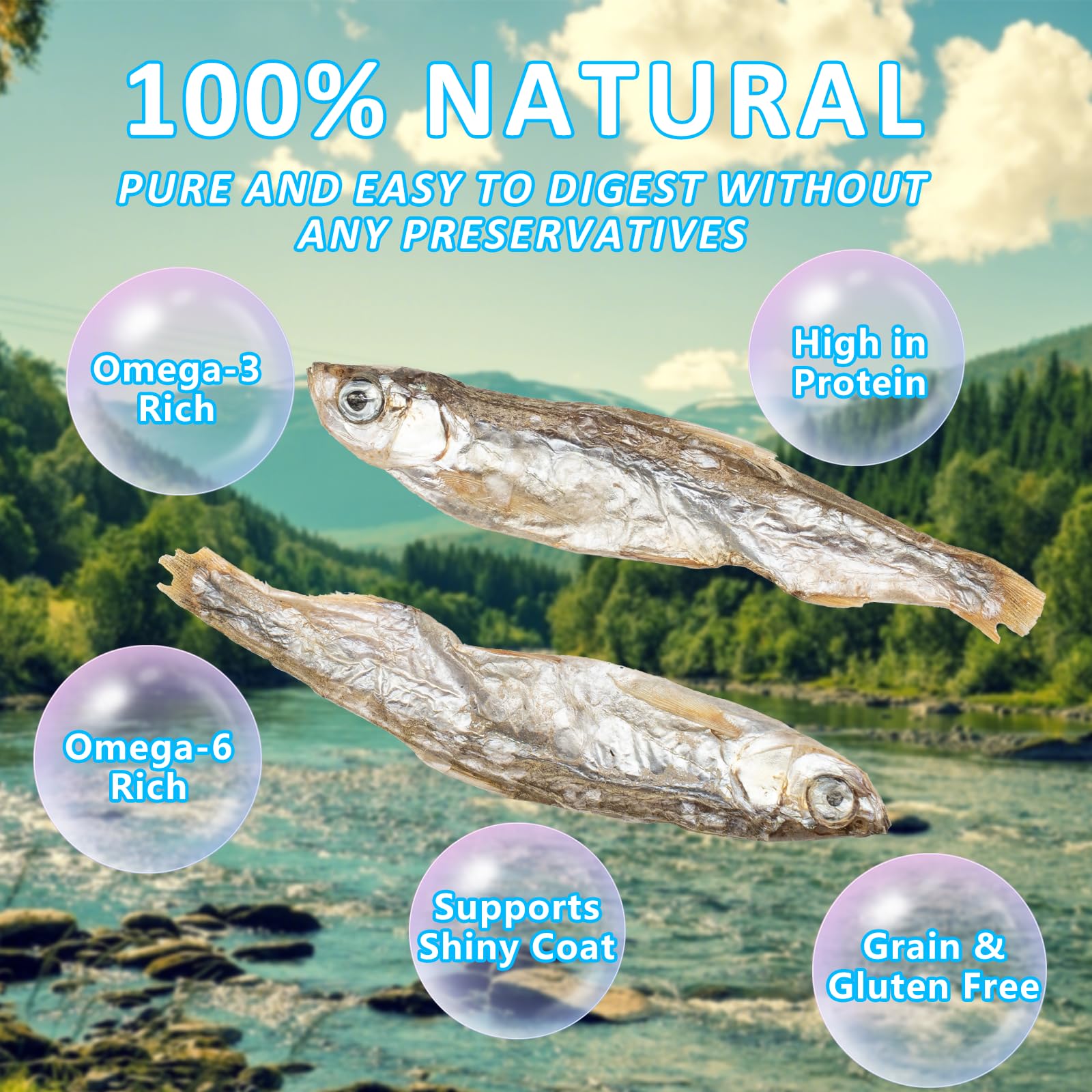 JADINGSFARM Minnows, profil nutritionnel clair et utile pour les animaux.