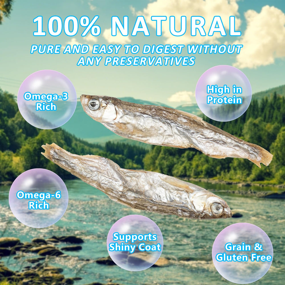 JADINGSFARM Minnows, profil nutritionnel clair et utile pour les animaux.