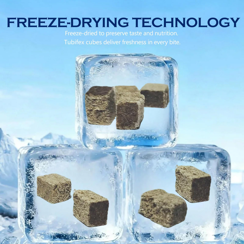 JADINGSFARM cubes tubifex pour nourrissage de poissons dans l'aquarium.