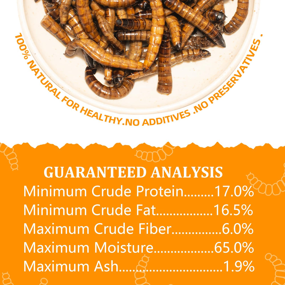 JADINGSFARM superworms pour poissons, apports nutritionnels variés
