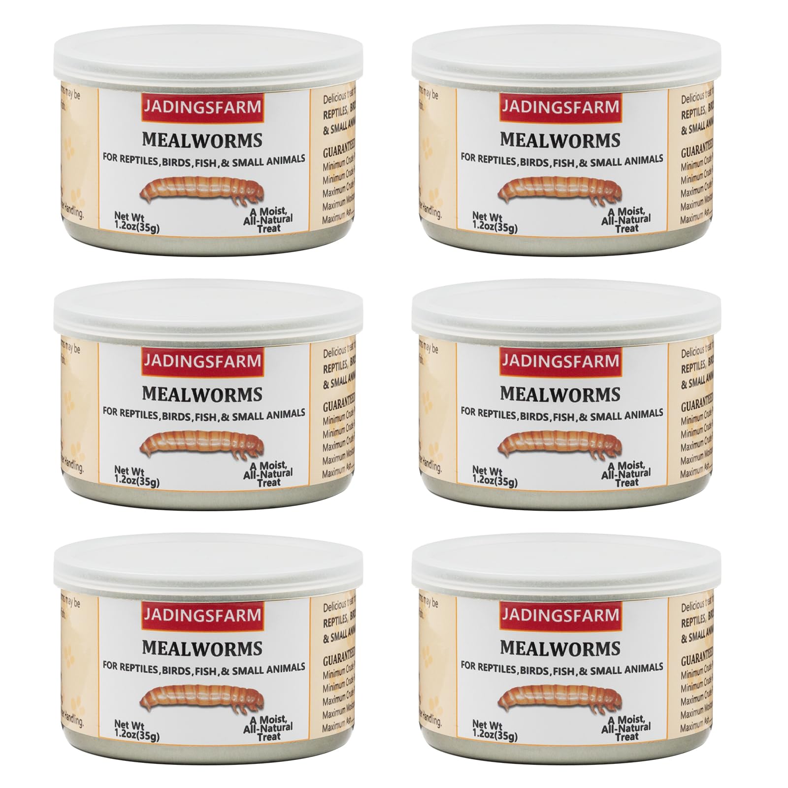 JADINGSFARM pack vers de farine, pratique à doser et nutritif pour reptiles.