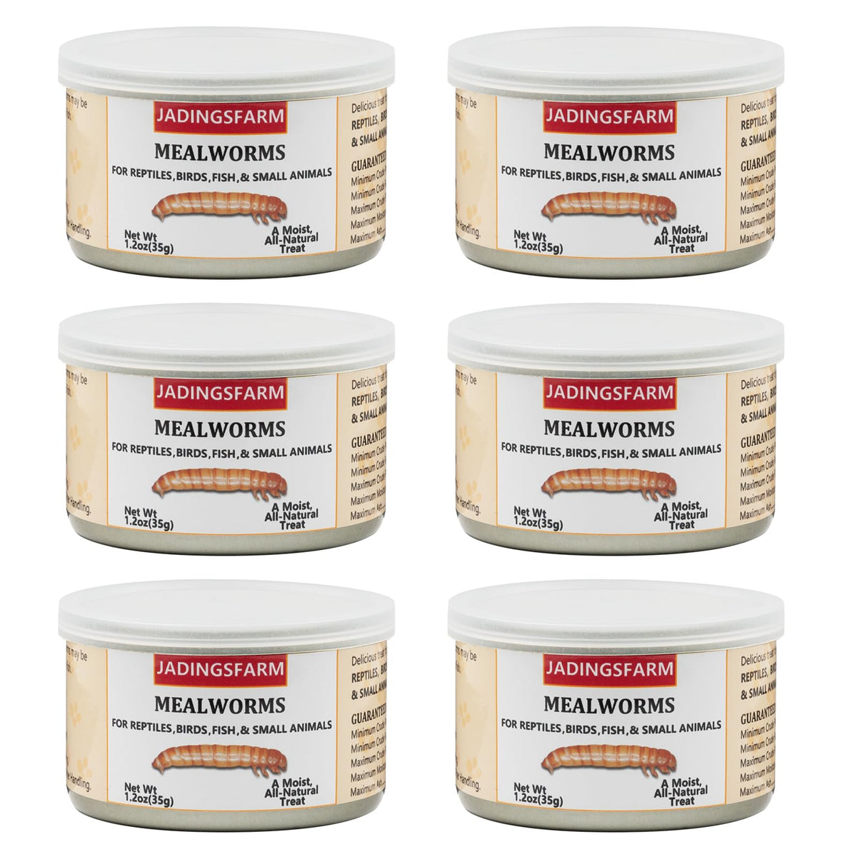 JADINGSFARM pack vers de farine, pratique à doser et nutritif pour reptiles.