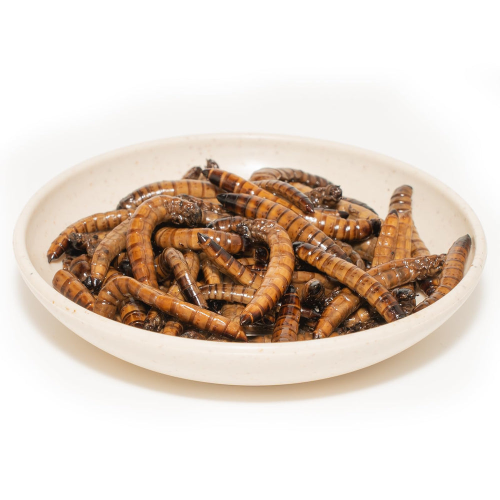 JADINGSFARM portion 1-2oz, pratique pour des rations quotidiennes