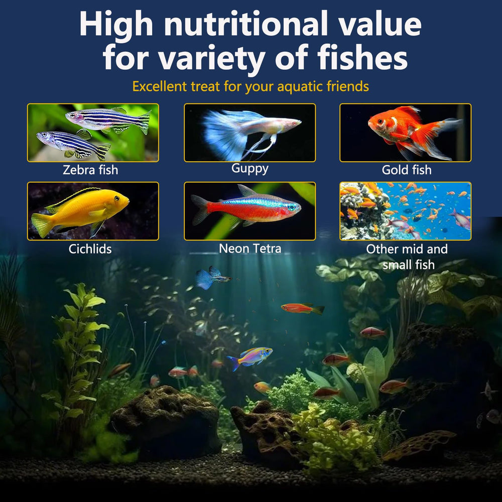 JADINGSFARM qualite-absence-additifs — produit sans additifs artificiels pour poissons d'aquarium.