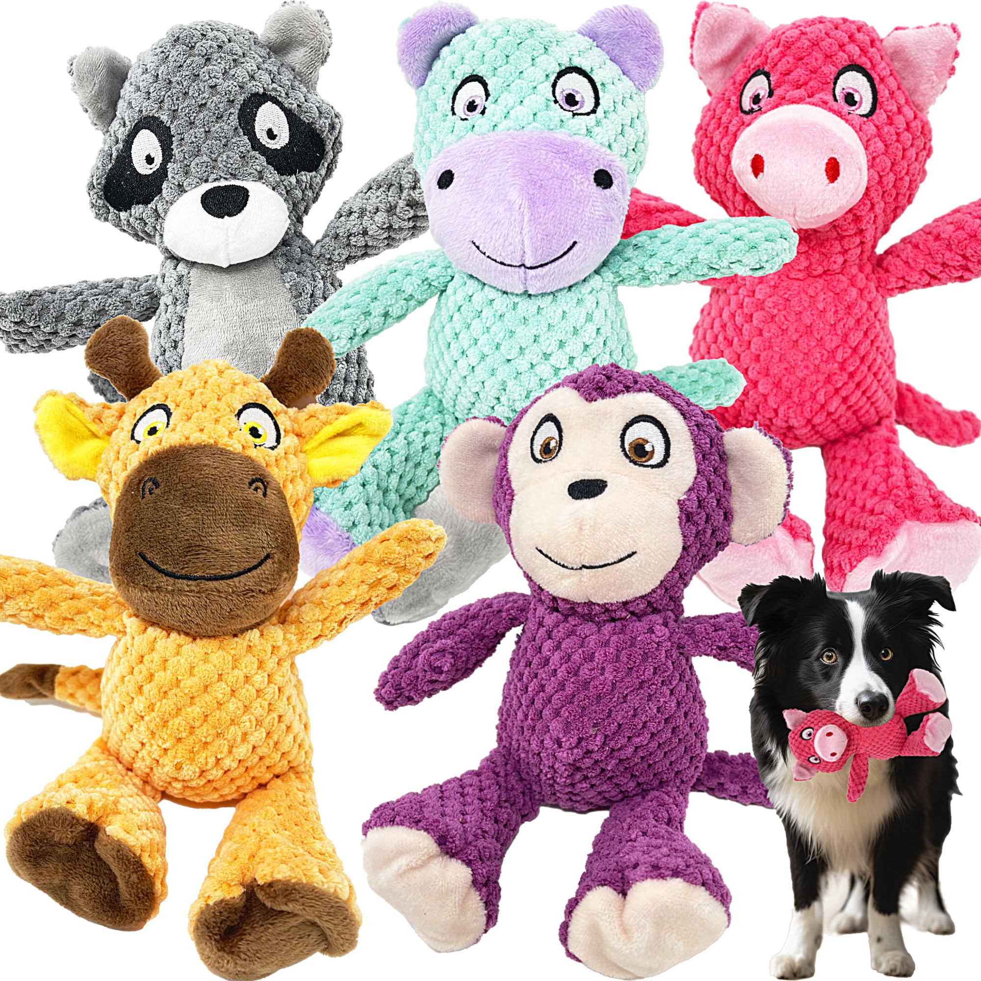 Jalousie jouet chien sifflement robuste pour jeux prolongés.