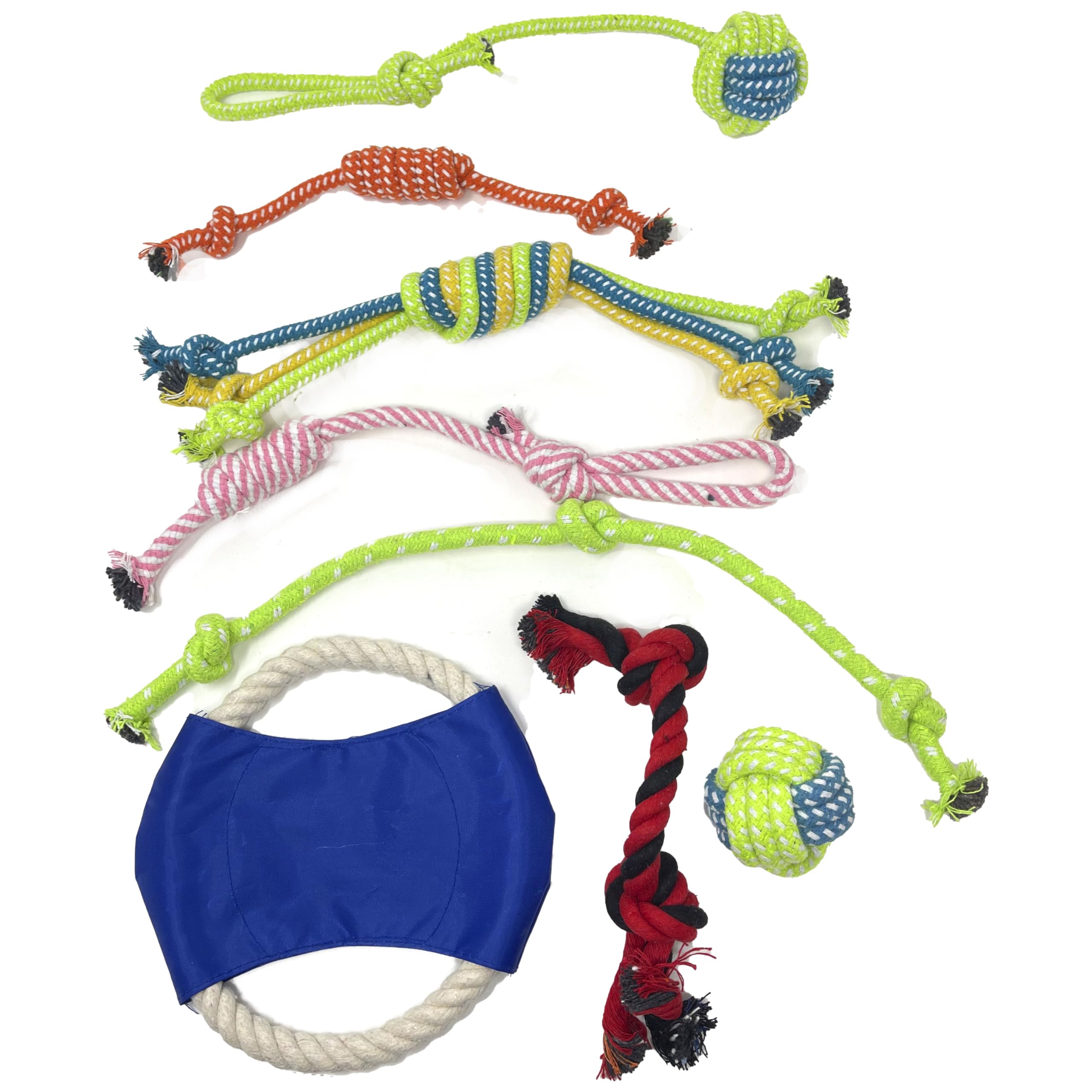 Jalousie, coffret cadeau 24 pièces, divertissement durable pour chiens en intérieur.