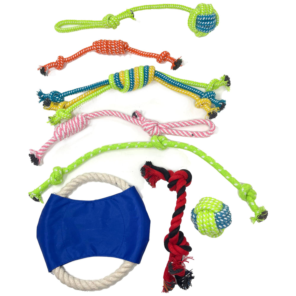 Jalousie, coffret cadeau 24 pièces, divertissement durable pour chiens en intérieur.