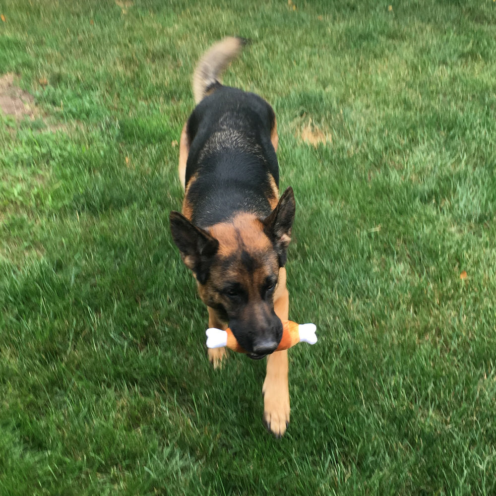 Jalousie - peluche jouet chien réconfortant pour jeux calmes et distrayants.