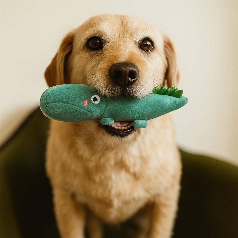 Jalousie: jouet corde et peluche, idéal pour la mastication et divertir.