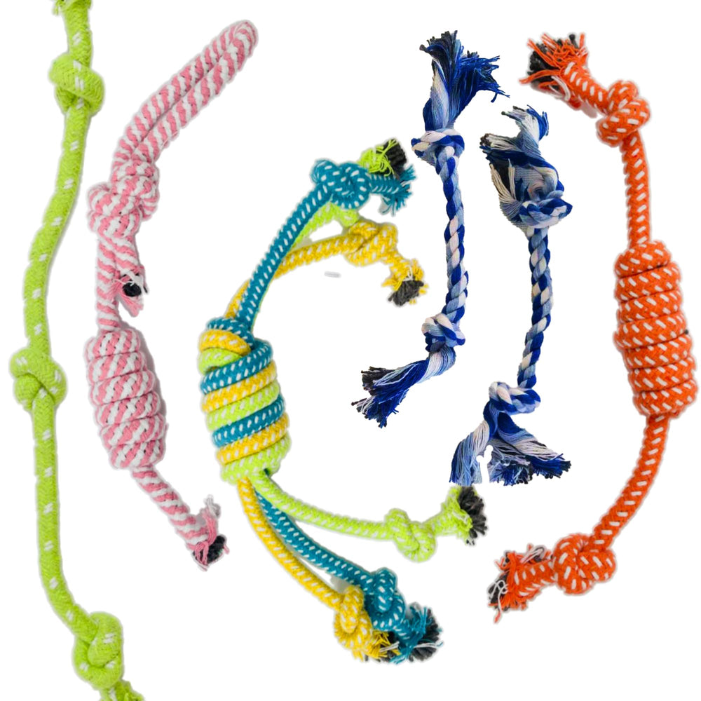 Jalousie: peluche sifflet pour gencives lors de la dentition, interaction ludique.