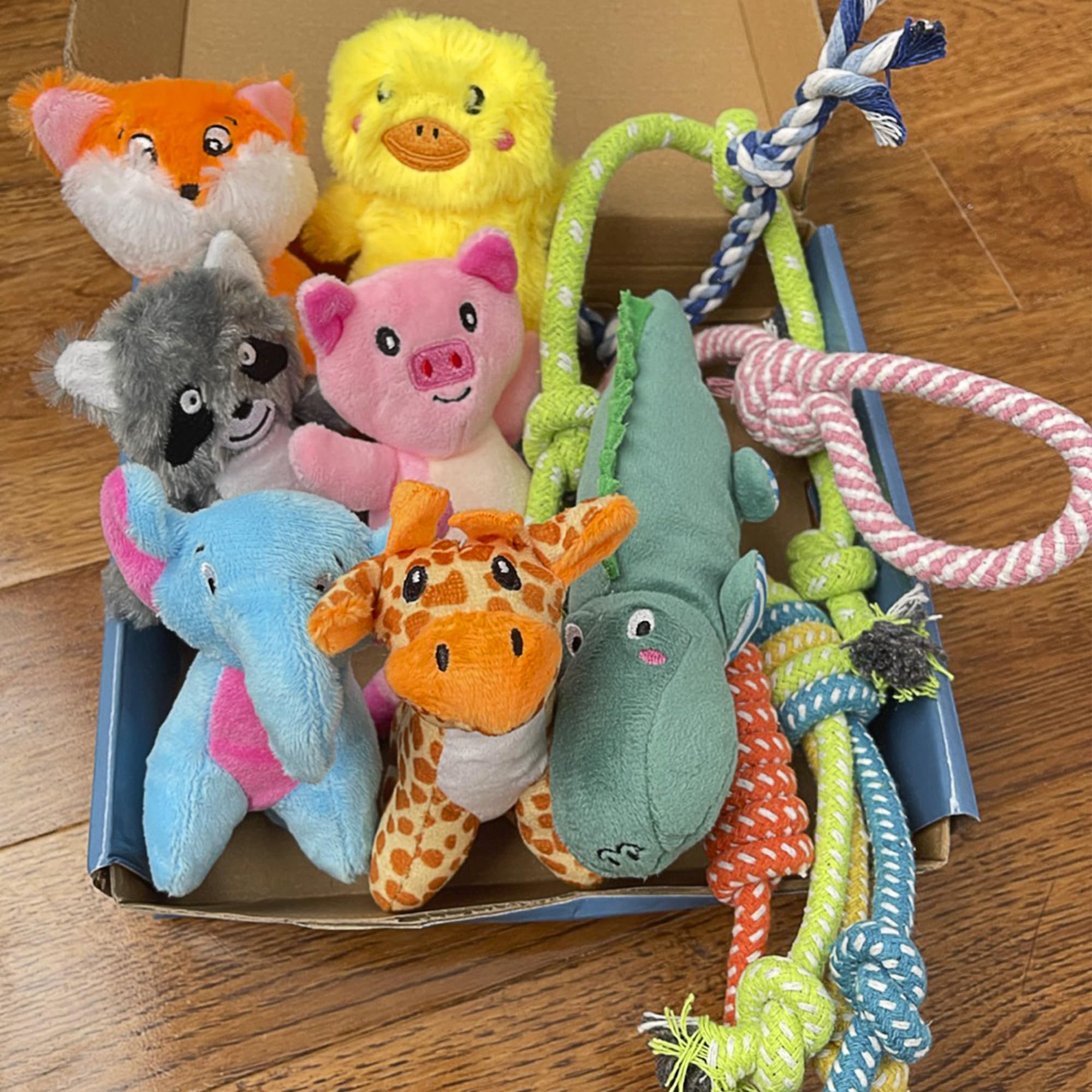 Jalousie: peluche sifflet variée, exclusivité pour chiots et chiens moyens.