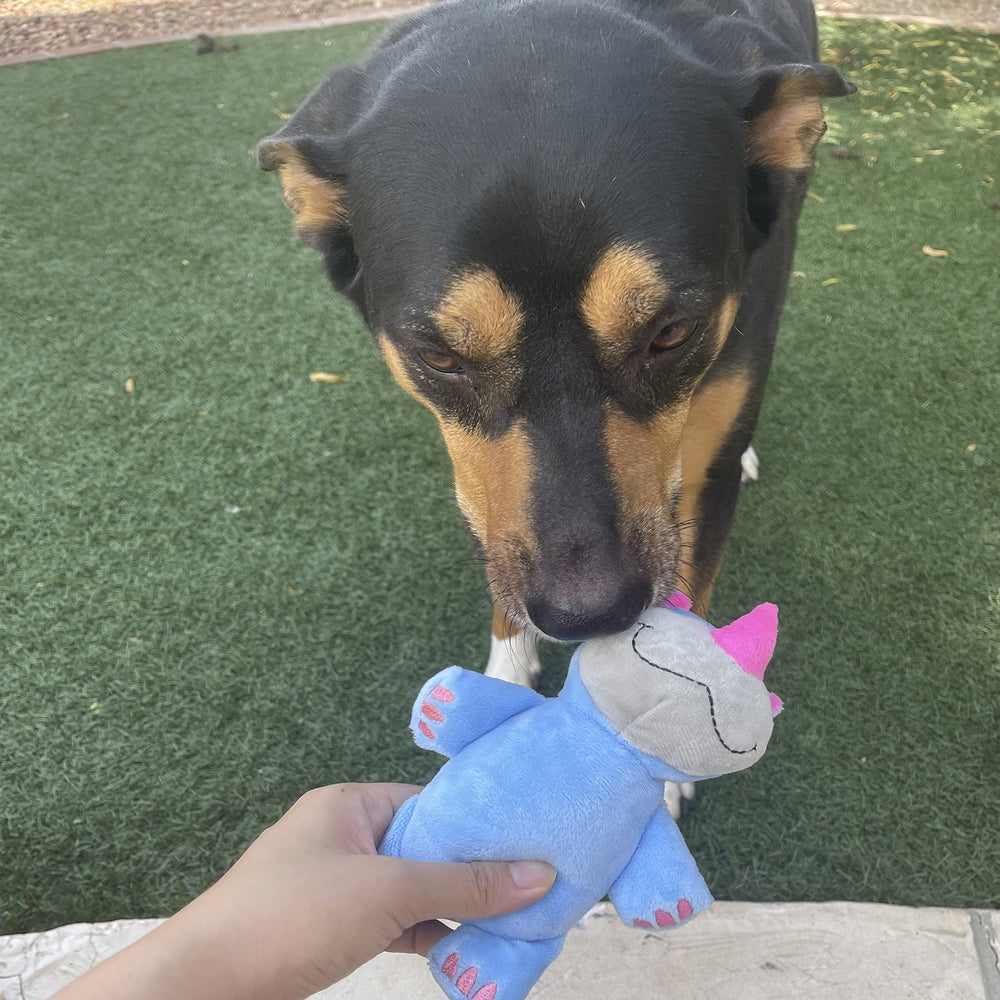 Jalousie jouet chien avec liner prolongeant le jeu