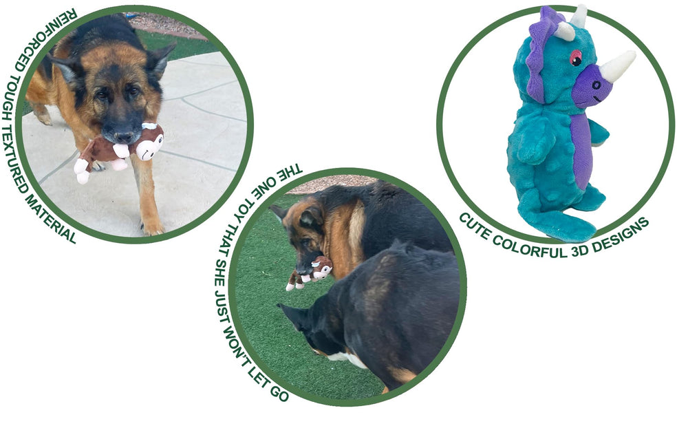 Jalousie: jouet chien textures diverses pour mastication et amusement