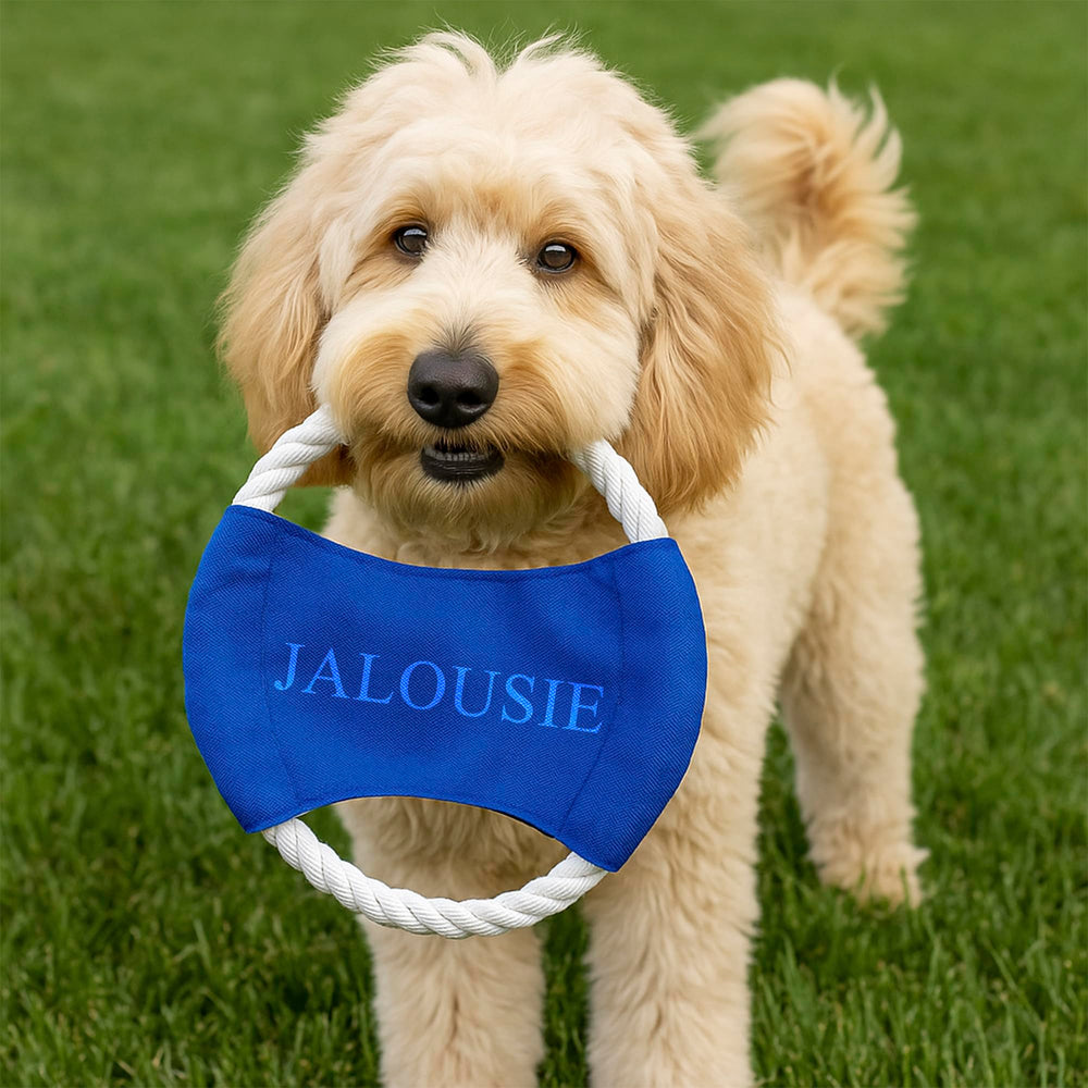 Jalousie jouet chiot couineur ensemble 9: lot varié offrant diversité de choix.