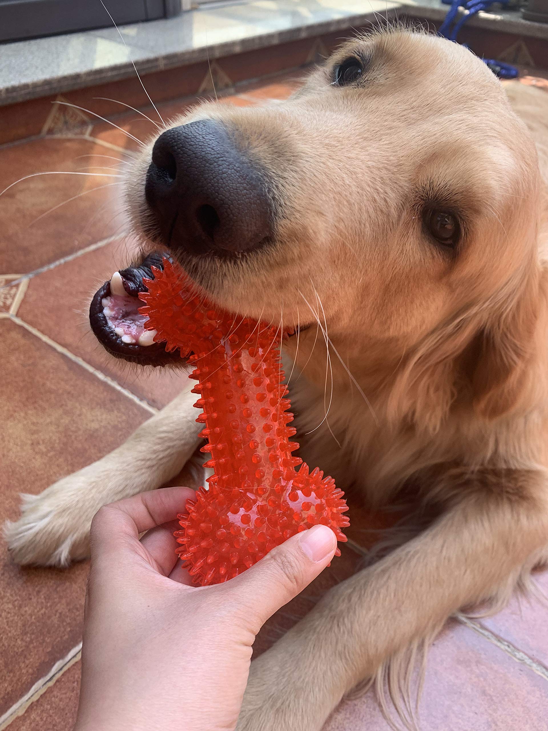 Jalousie jouet épineux pour petits chiens – idéal pour jeux interactifs et apprentissages.