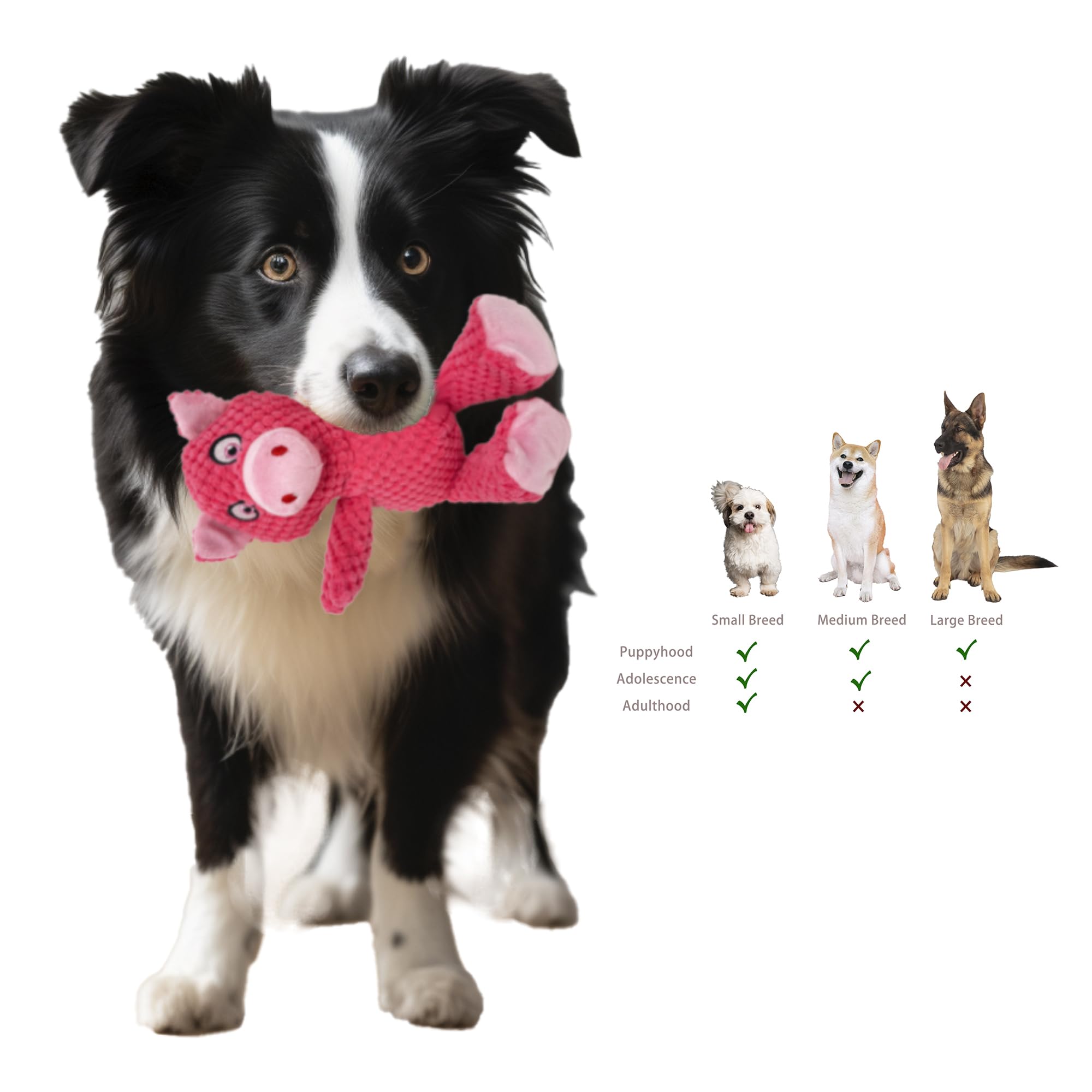 Jalousie jouet grignotage robuste pour chiens énergiques.