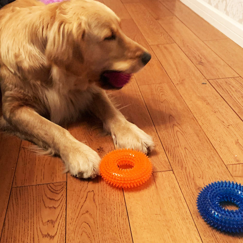 Jalousie jouet siffleur épineux – divertissement durable pour chiens petits et moyens.