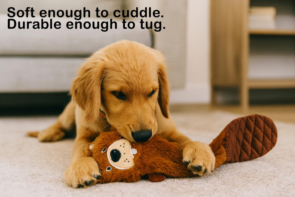 Jalousie loutre : jouet chien sifflement et stimulation auditive