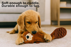 Jalousie loutre : jouet chien sifflement et stimulation auditive