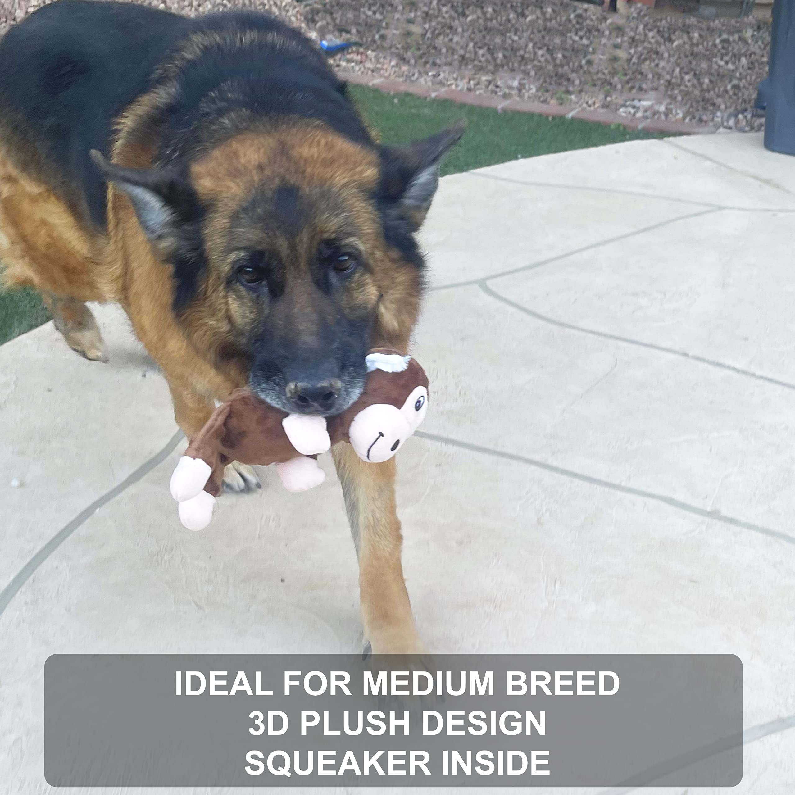 Jalousie: lot de 5 jouets chien formes diverses pour stimulation variée
