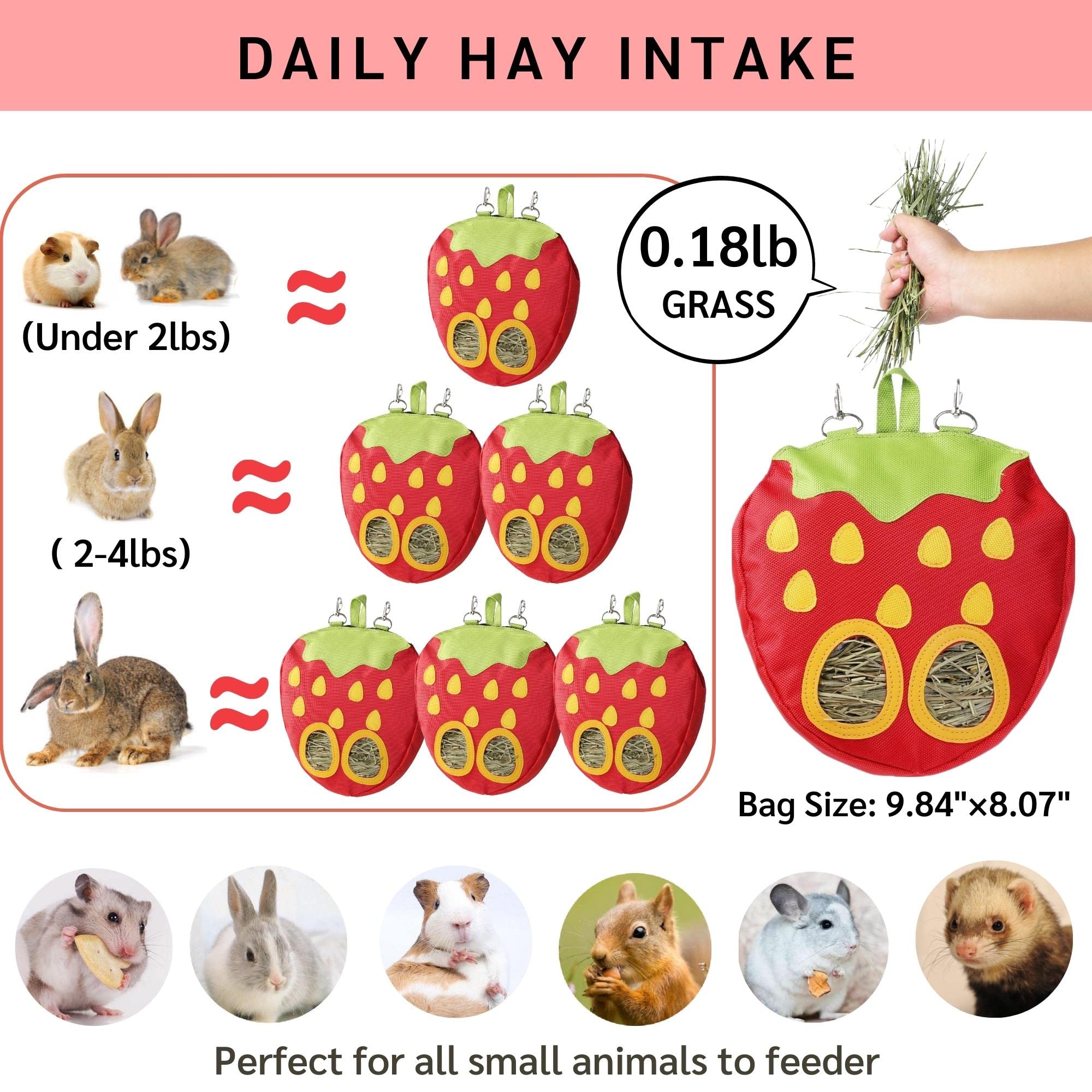 JanYoo capacité quotidienne de foin, pratique pour lapins et cochons d'Inde.