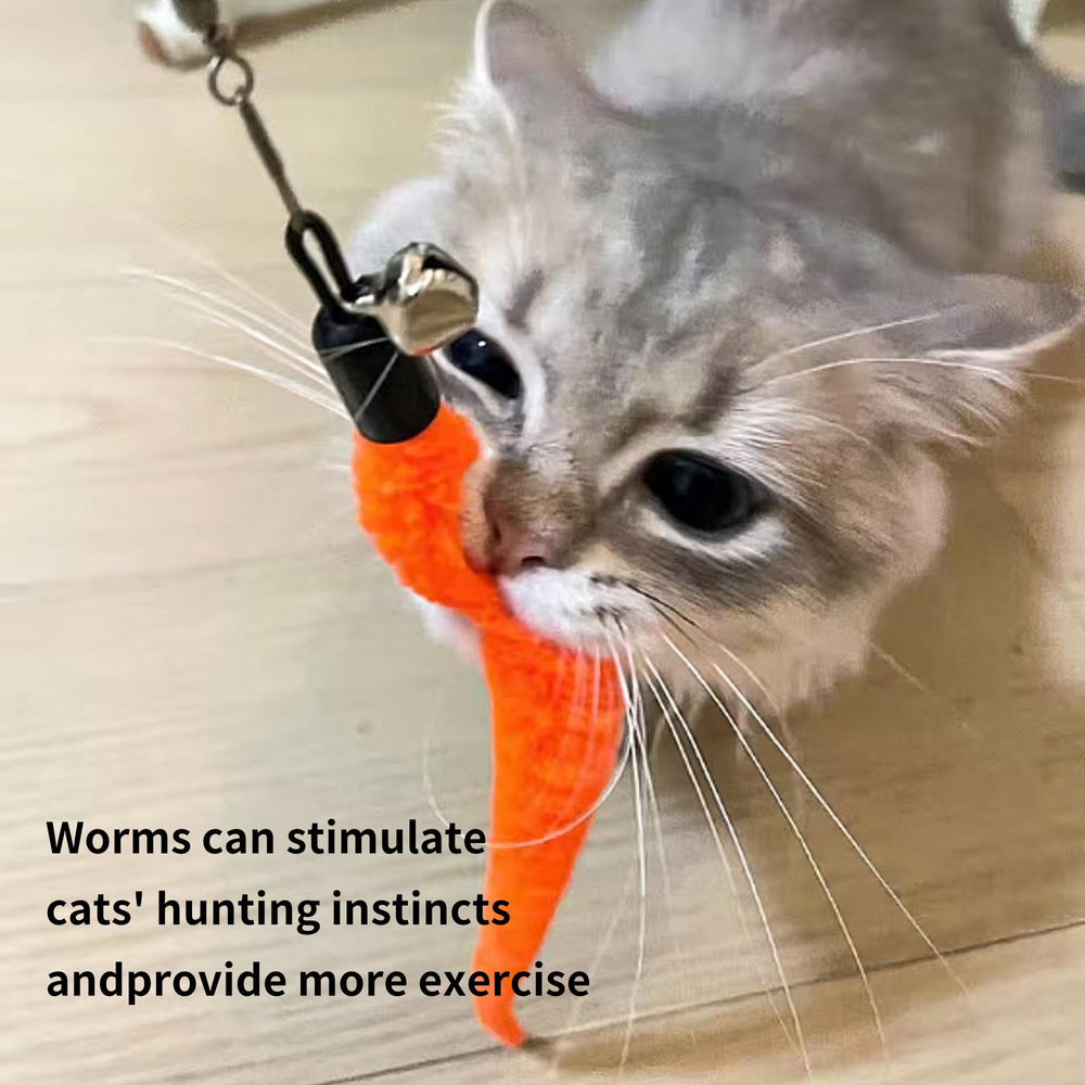 Chat en action avec le jouet Janbenty – jeu interactif et exercice.