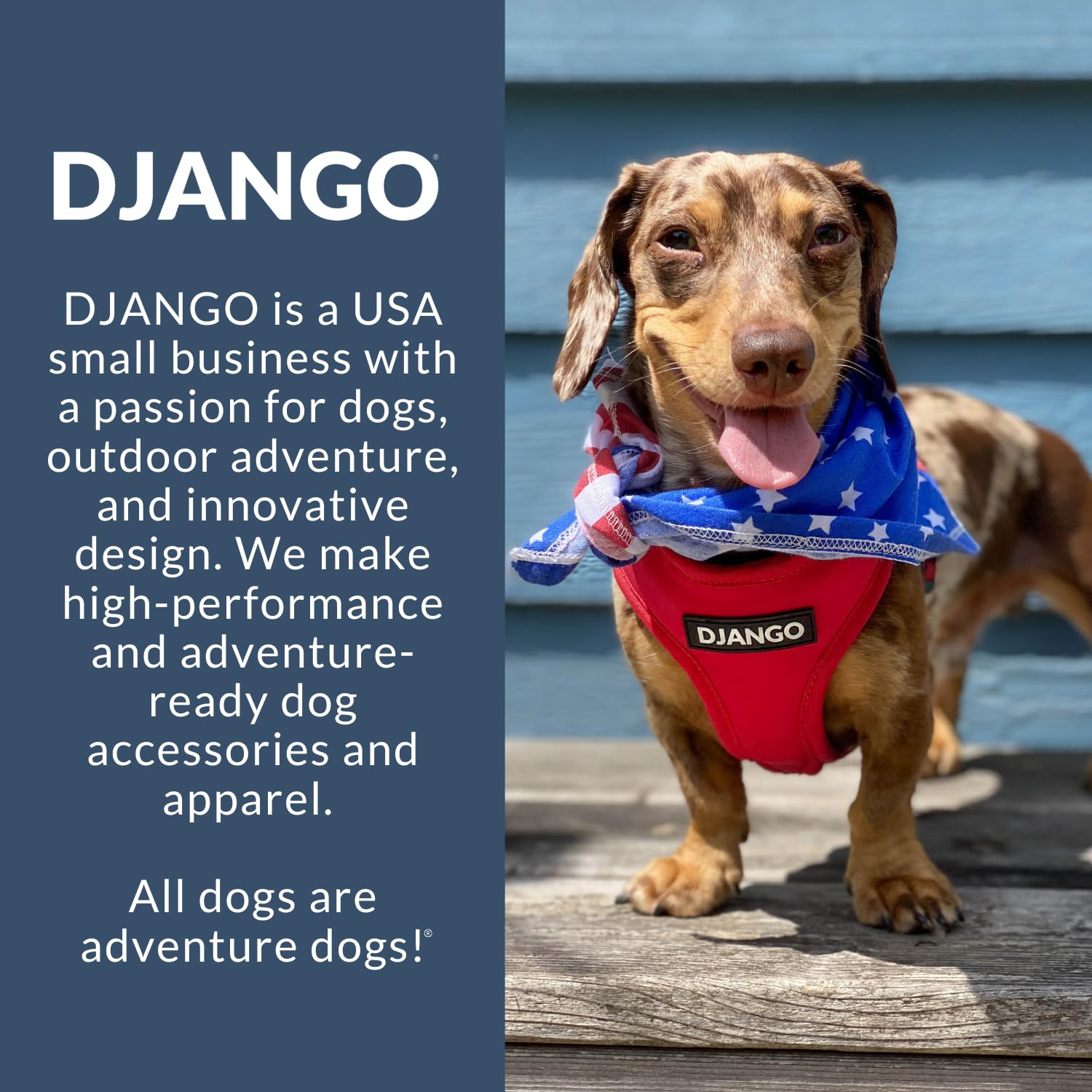 DJANGO Sac porte-chien: taille moyenne adaptée aux petits chiens pour trajets urbains.