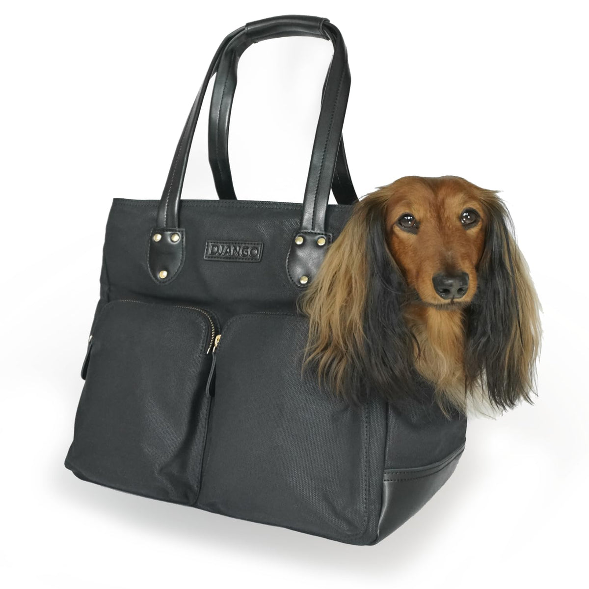 DJANGO Sac porte-chien: toile ciree et base cuir, soutien durable pour petit chien.