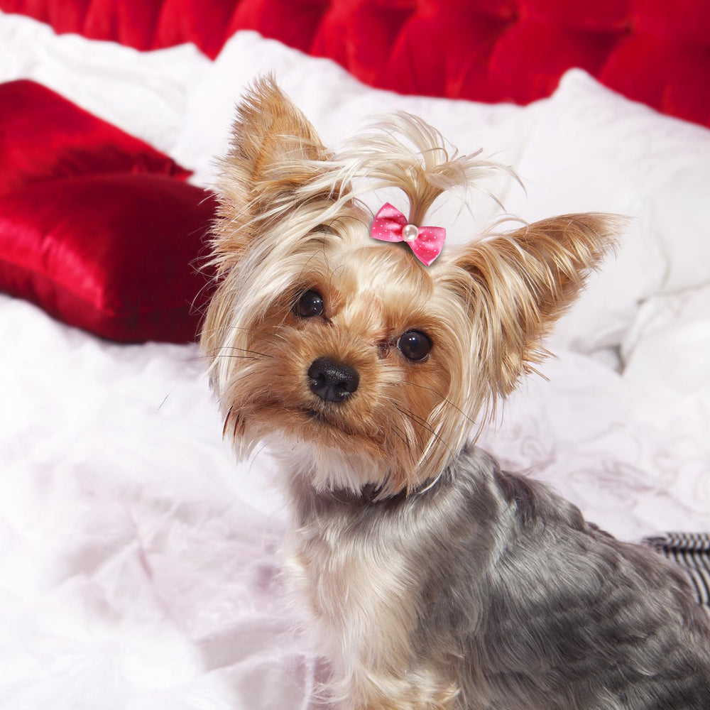 Janinka accessoires coiffure chien parfait pour fêtes et séances photo.