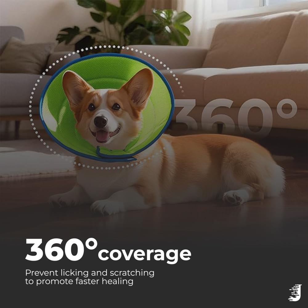 janrie collier ajustable taille grand chien, sécurité et ajustement rapide.