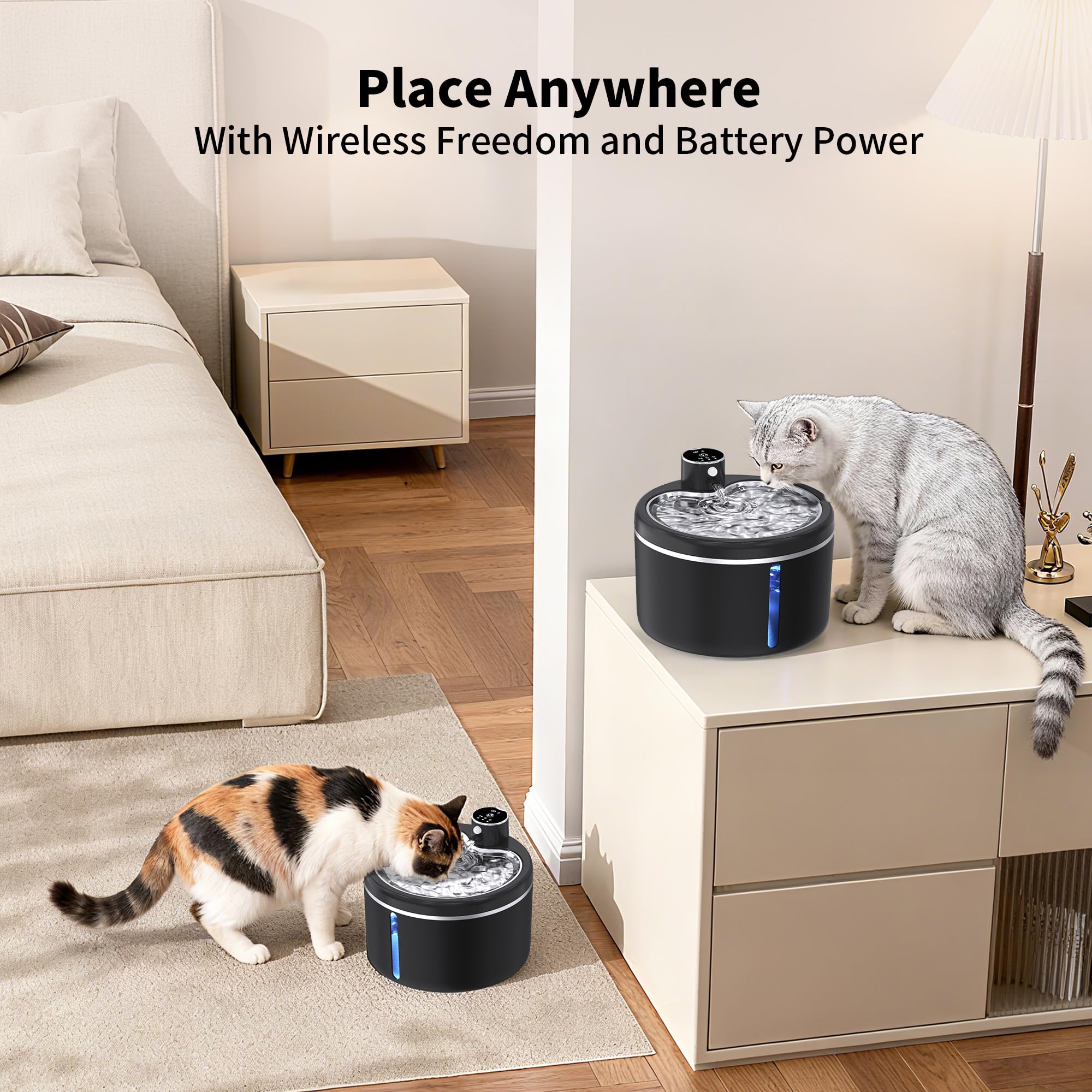 Jaojcoe fontaine chat, plateau en inox pour surface facile à nettoyer