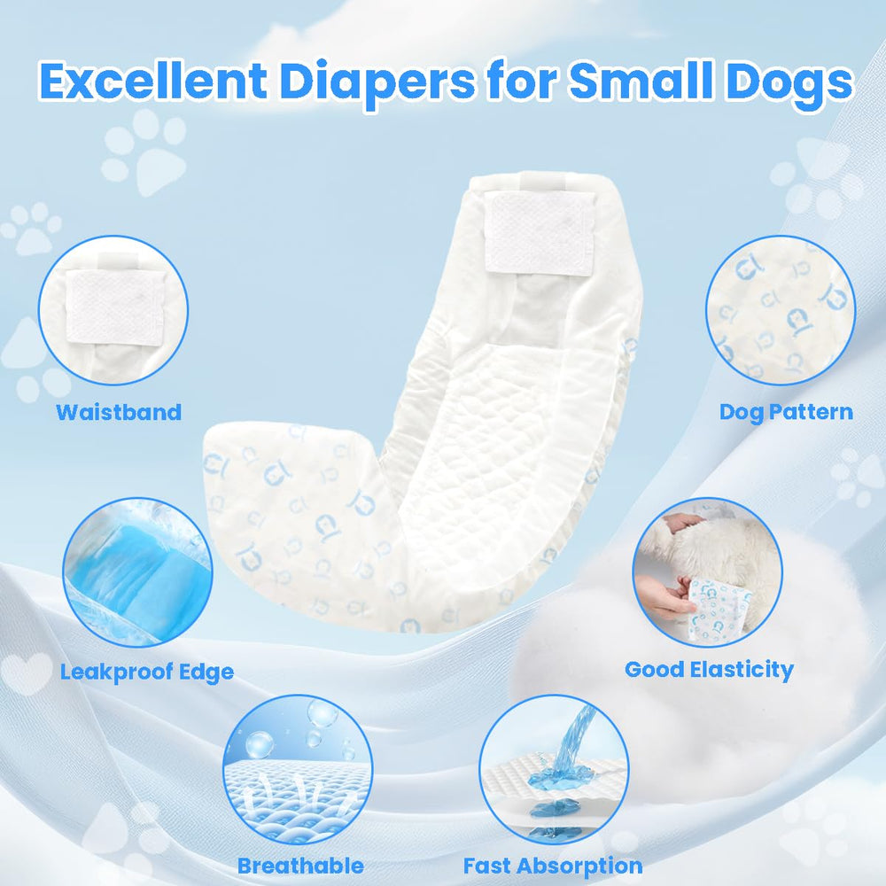 Jaoruizer noyau absorbant pour absorption rapide et propreté autour du chien.