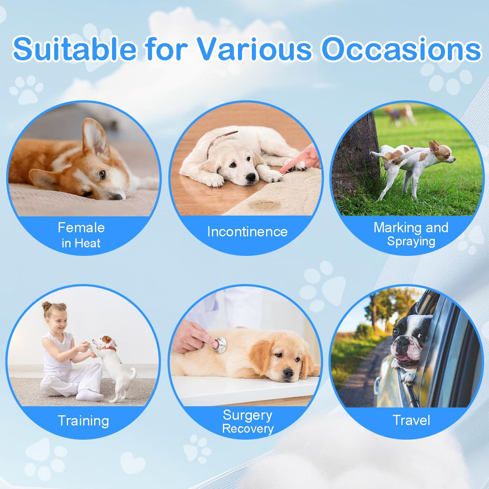 Jaoruizer utilisation quotidienne et déplacement facilité pour chiens.