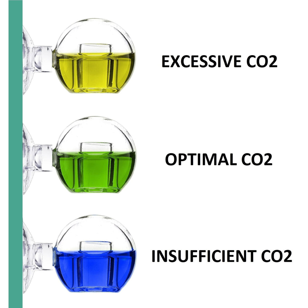 Ventouse de fixation pour installer le contrôleur CO2 dans l’aquarium