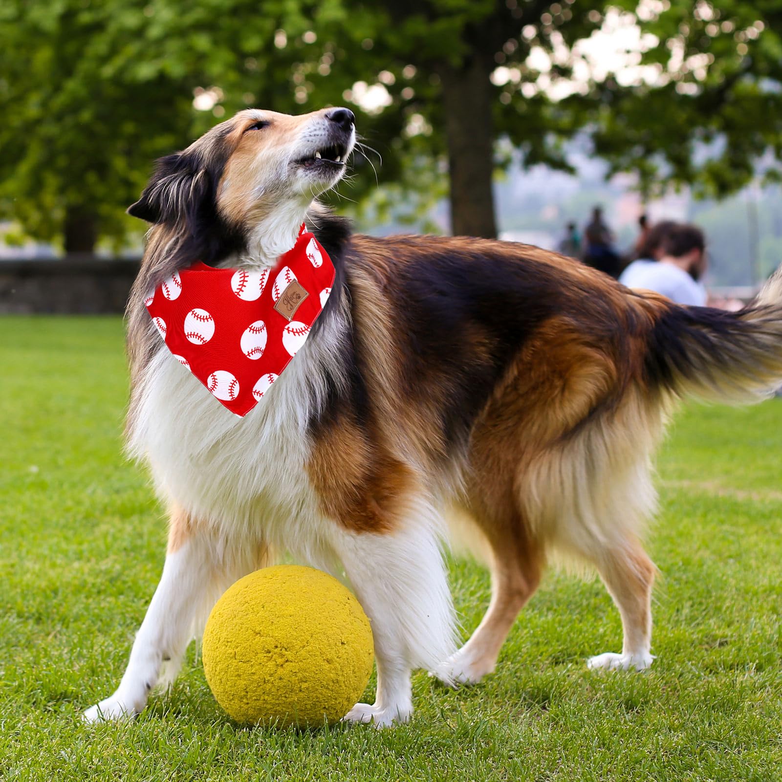 Accessoire chien JarThenaAMCS, bandana baseball, parfait pour sorties et photos.