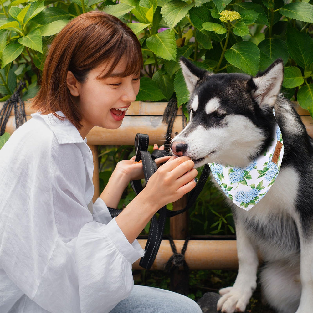 Bandana ajustable JarThenaAMCS pour chien de taille moyenne à grande, confort assuré.