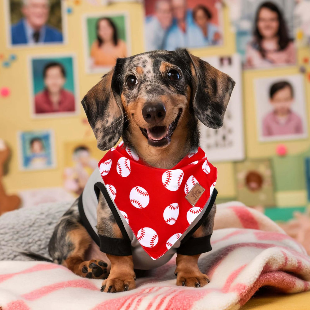 Bandana anniversaire pour chien JarThenaAMCS, couleur vive et festive.