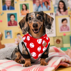 Bandana anniversaire pour chien JarThenaAMCS, couleur vive et festive.