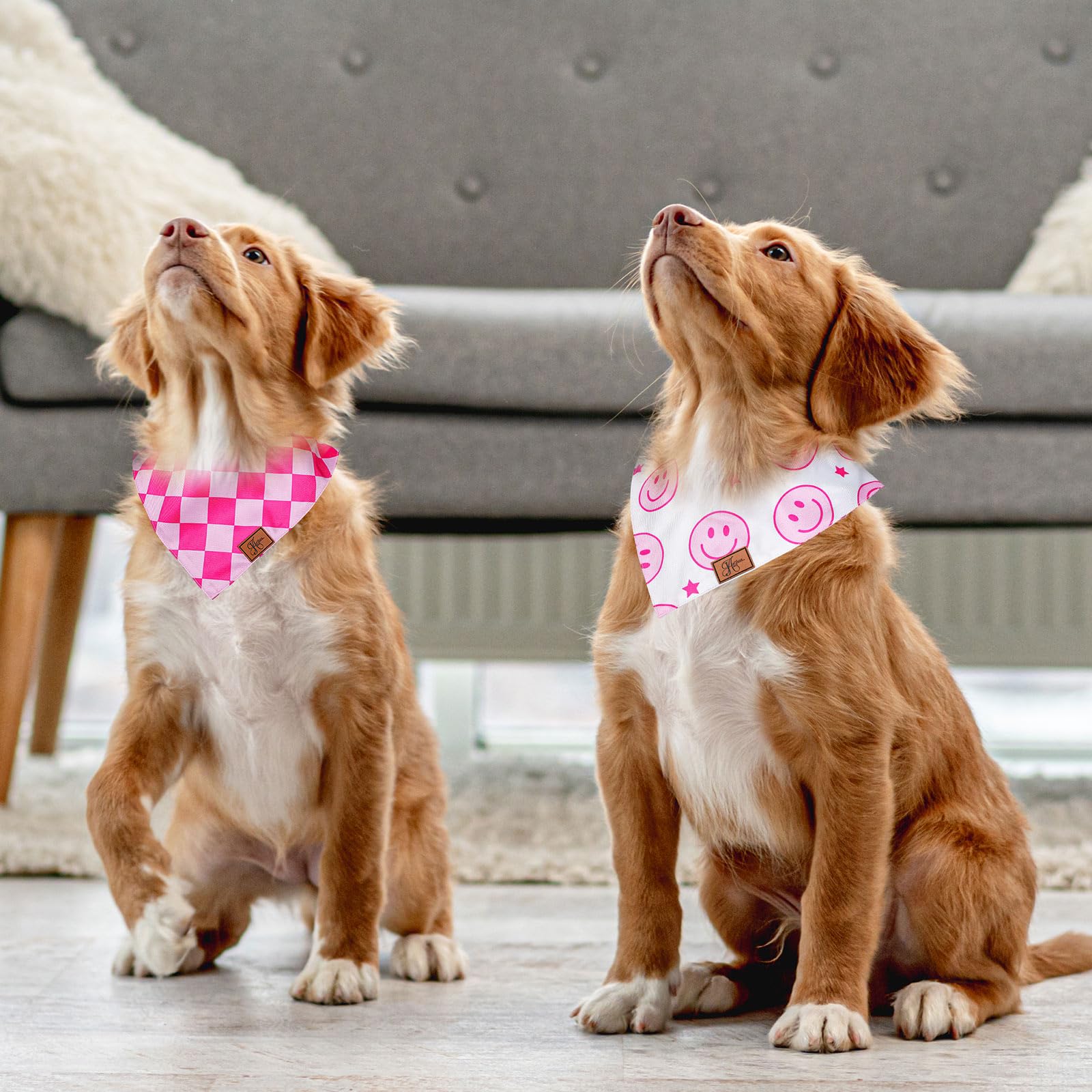 Bandana JarThenaAMCS réglable pour chien moyen, ajustement sûr et confortable.