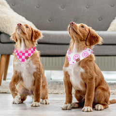 Bandana JarThenaAMCS réglable pour chien moyen, ajustement sûr et confortable.