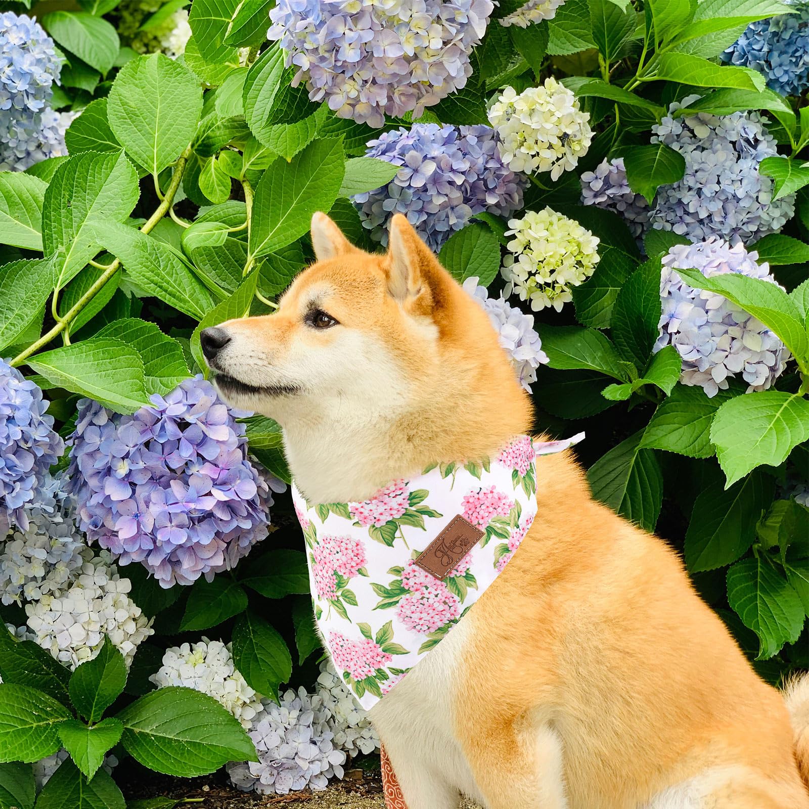 Ensemble de 2 bandanas JarThenaAMCS, cadeau idéal pour animaux et amis des animaux.