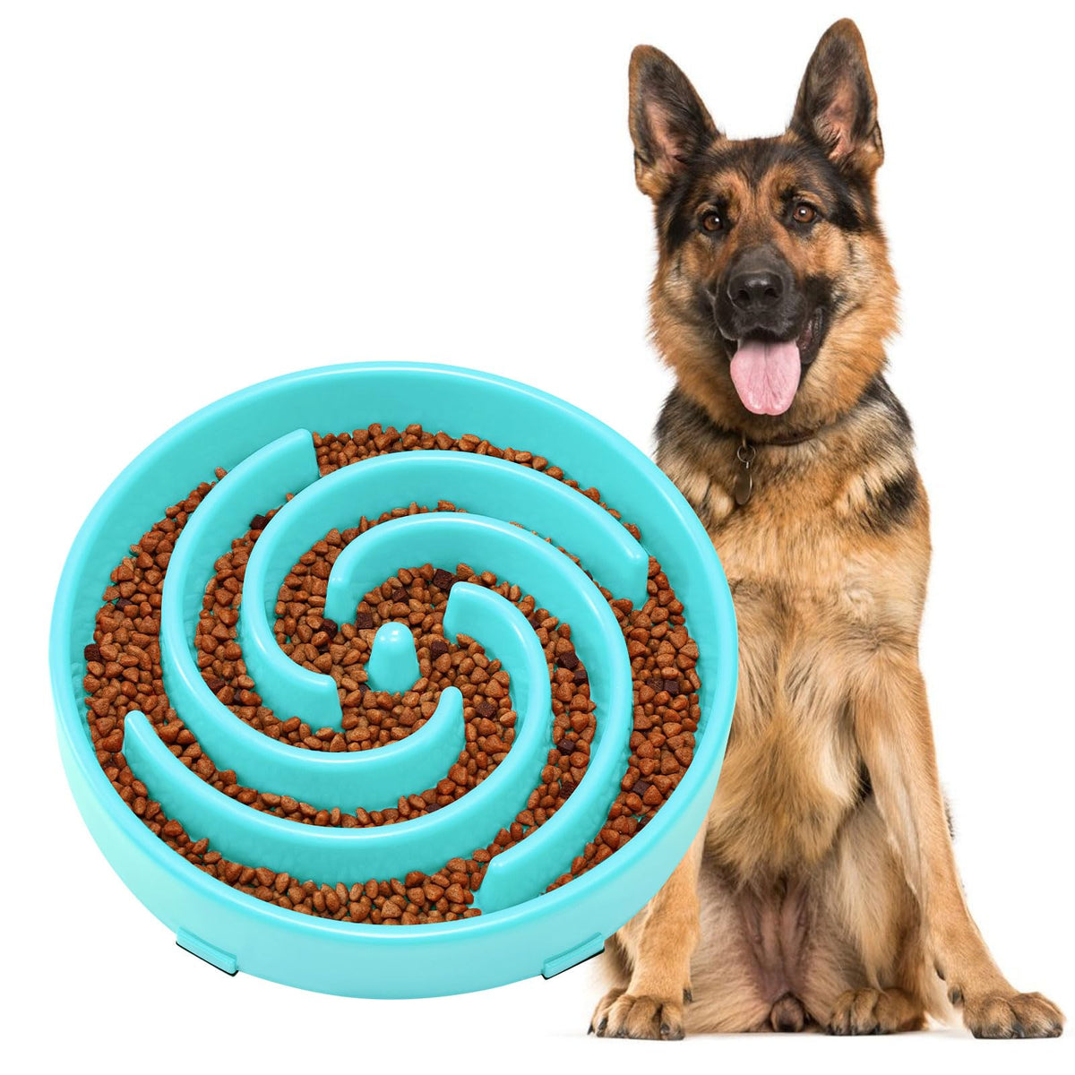JASGOOD bol lent avec labyrinthe ralentit les repas et peut prevenir l'etouffement.