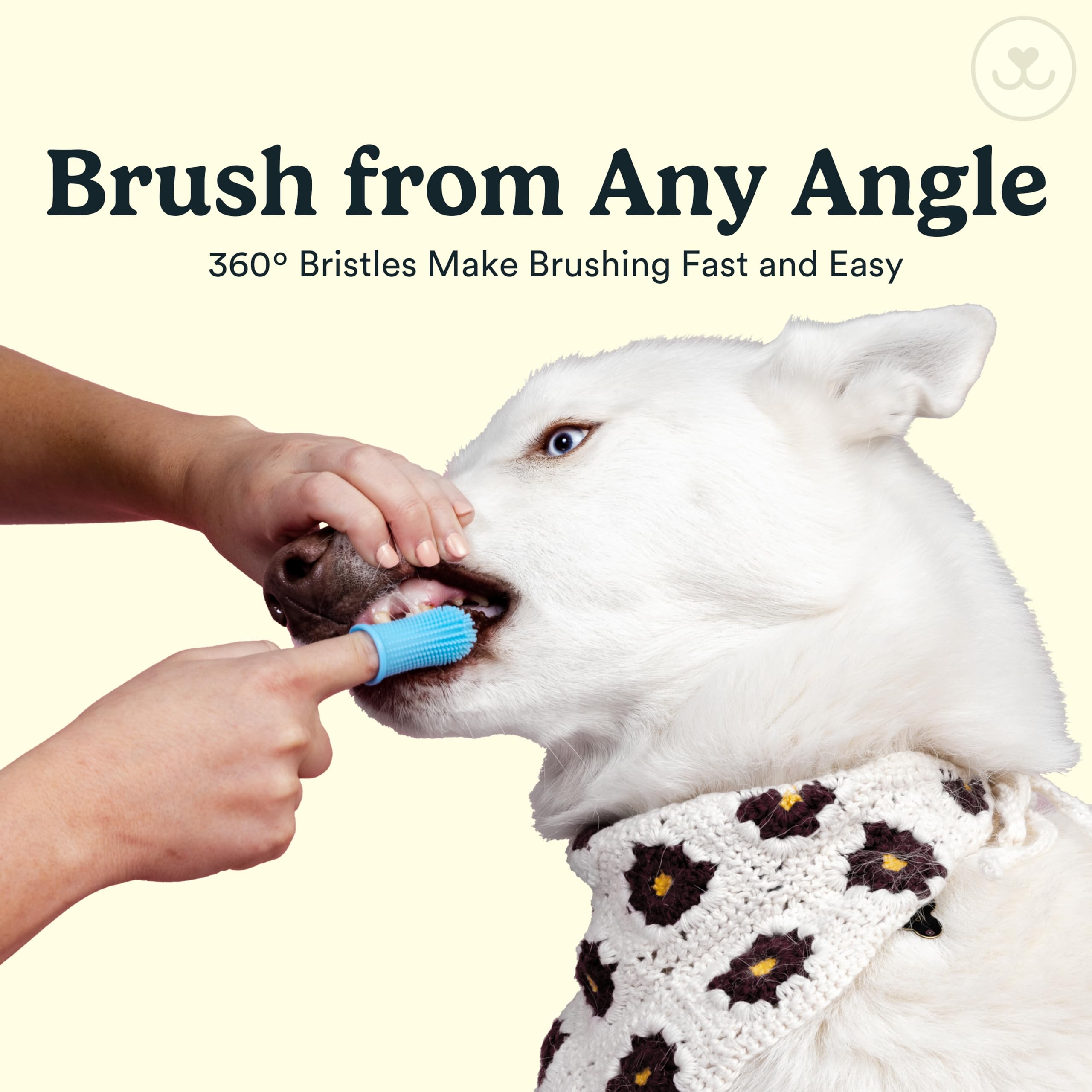 Brosse Jasper en silicone ultra-douce, gencives protégées et confort.