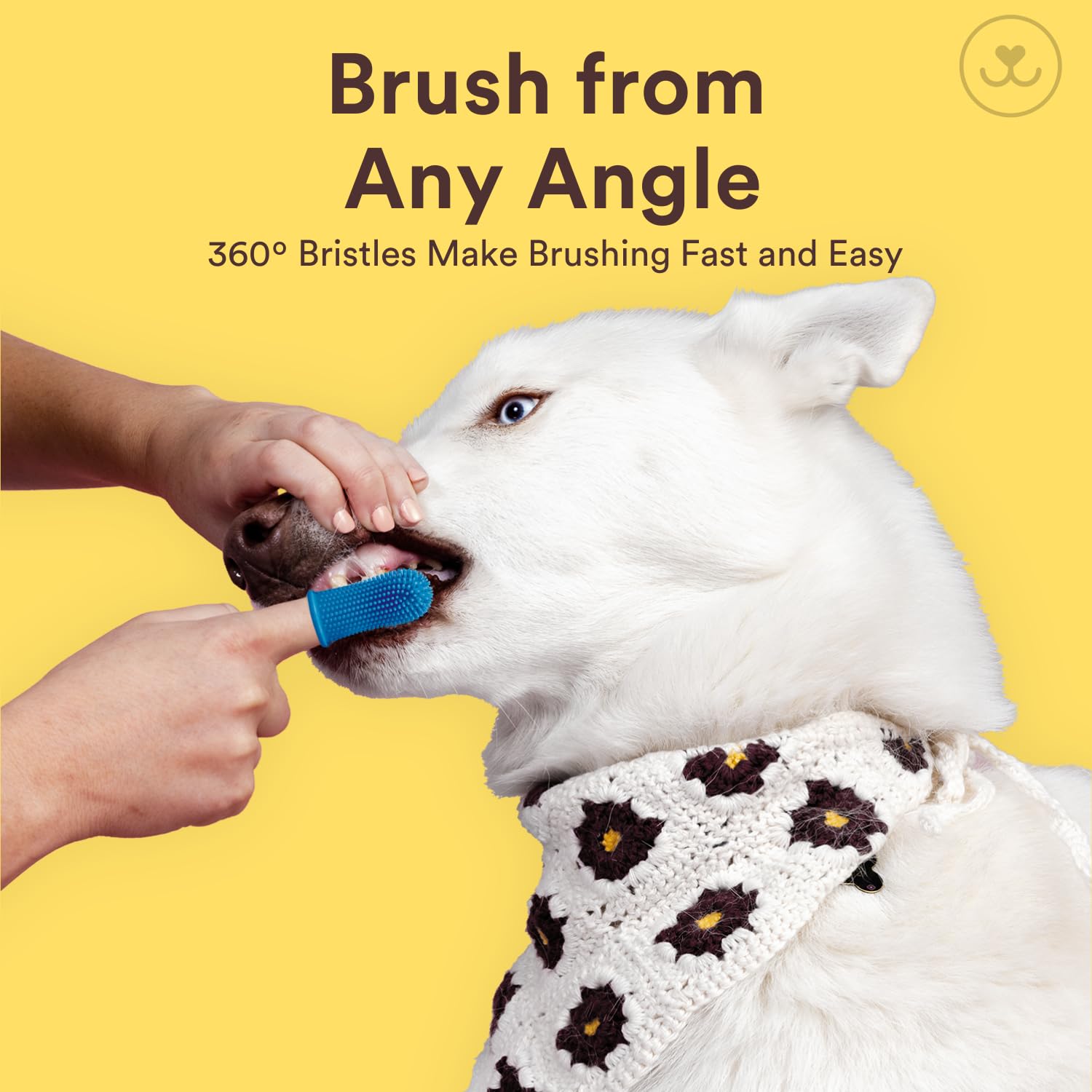 Brosse-dents chien Jasper grande accessibilité aux molaires et zones difficiles.