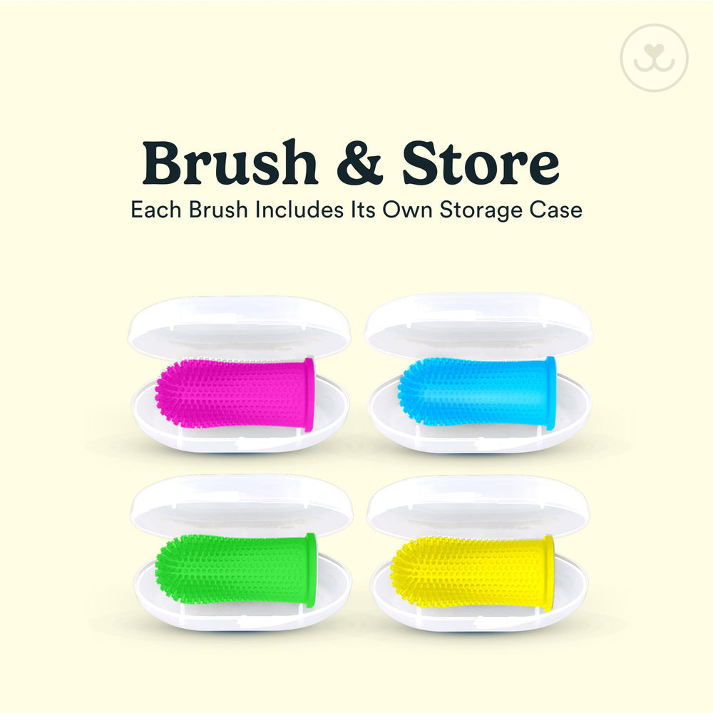 Compatible chiens et chats Jasper pour le nettoyage des dents.