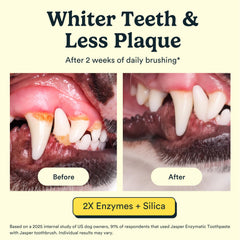 Dentifrice Jasper enzymes duo, lutte contre plaque et tartre.