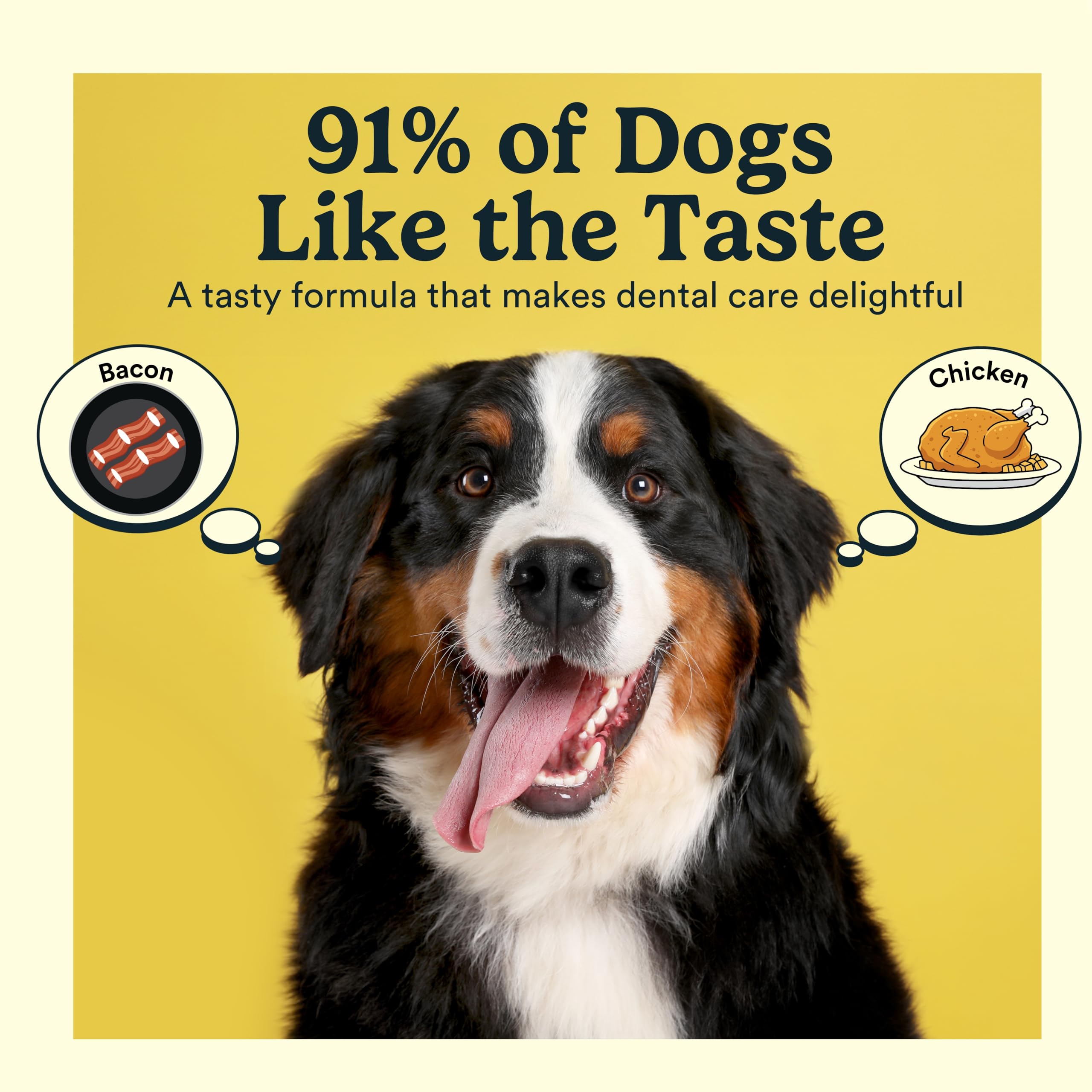 Dentifrice Jasper chien saveur bacon, brossage plus agréable.