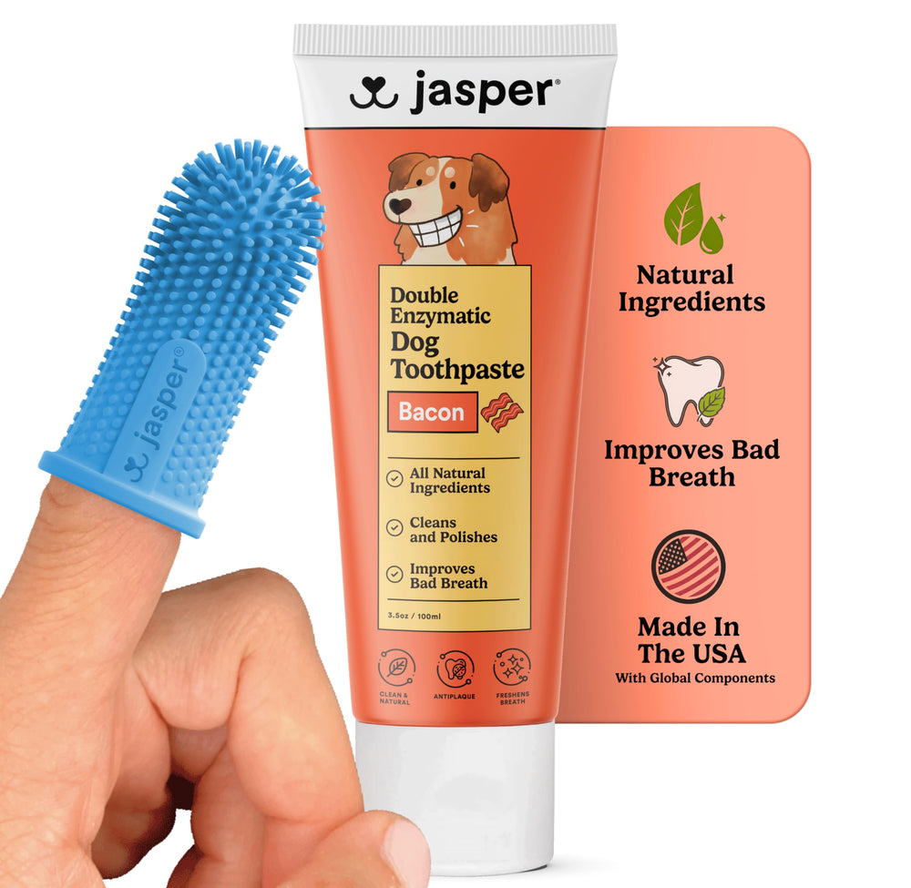 Jasper kit brossage dents chien, emballage prêt à offrir, pratique.