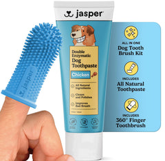Jasper kit brosse-dent chien: routine facile et complète.